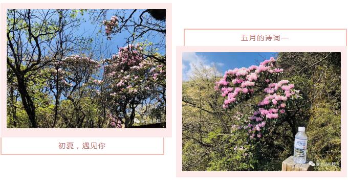 yw永旺快投网(中国区)官网登录入口
